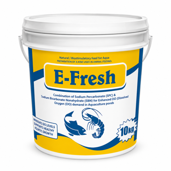E FRESH