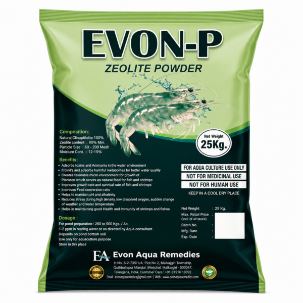 EVON P